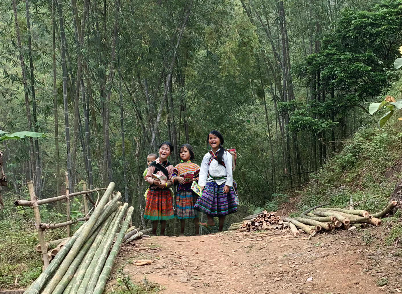 Bamboo empowers Sustainable Development in Vietnam